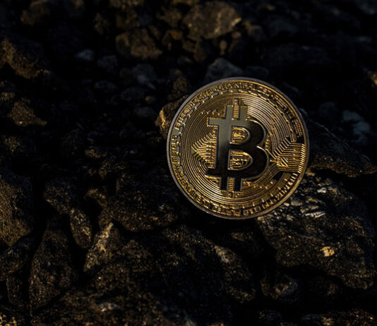 W których krajach występuje największa adopcja kryptowalut