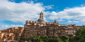 Jakie są obszary do rozwoju ocenianej osoby? Jakie są obszary do rozwoju ocenianej osoby?