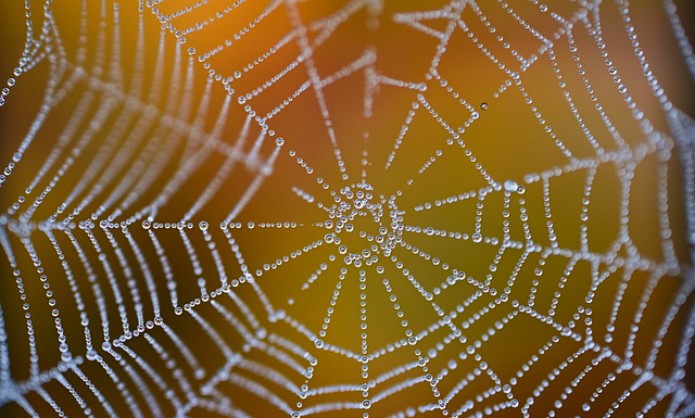 Ile to jest netto z 4200 brutto?