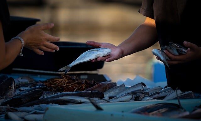 Jak sprzedawać swoje teksty? Jak sprzedawać swoje teksty?