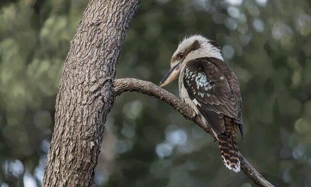 Kiedy kończy się zauroczenie?