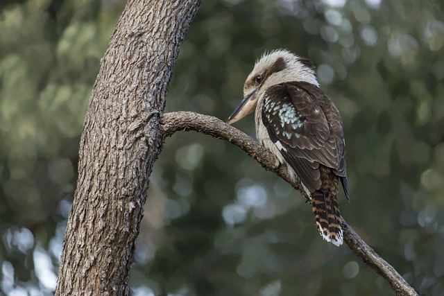 Kiedy kończy się zauroczenie? Kiedy kończy się zauroczenie?