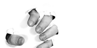 Jakie dobra wytwarza sektor publiczny?