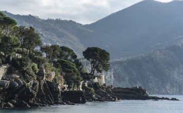 Ile kosztuje tekst na bloga?