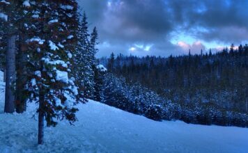 Czy licencjat ma znaczenie?