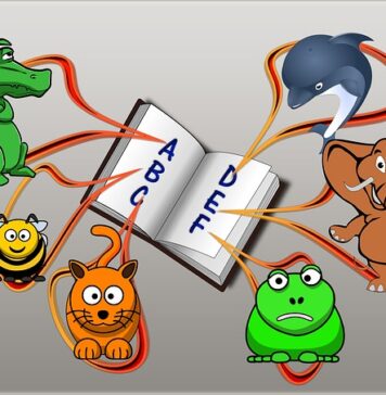 Jak uzyskać certyfikat ICF? Jak uzyskać certyfikat ICF?