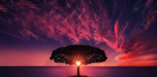 Co wchodzi w skład chmury?