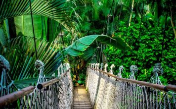 Jak działają kursy online?