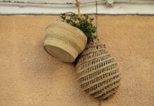 Jak szybko zdobyć wykształcenie zawodowe?