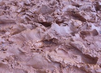 Co zaliczamy do budżetu operacyjnego?