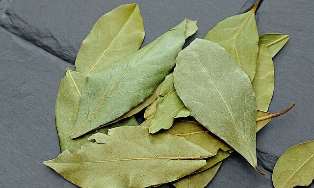 Jakie są rodzaje węglowodorów?