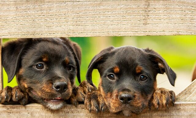 Dlaczego widzimy wodę w kolorze niebieskim? Dlaczego widzimy wodę w kolorze niebieskim?