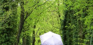 Jak znaleźć darmowe kursy? Jak znaleźć darmowe kursy?