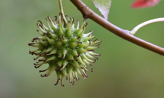 Czy będzie likwidacja Karty Nauczyciela?