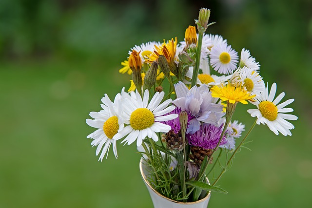 Co to jest Wild Card? Co to jest Wild Card?