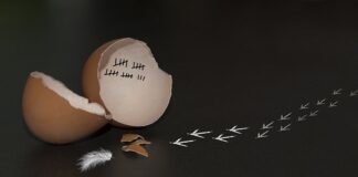 Co sprawia że ktoś nas pociąga?