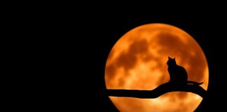 Jak zapanować nad domowym budżetem? Jak zapanować nad domowym budżetem?