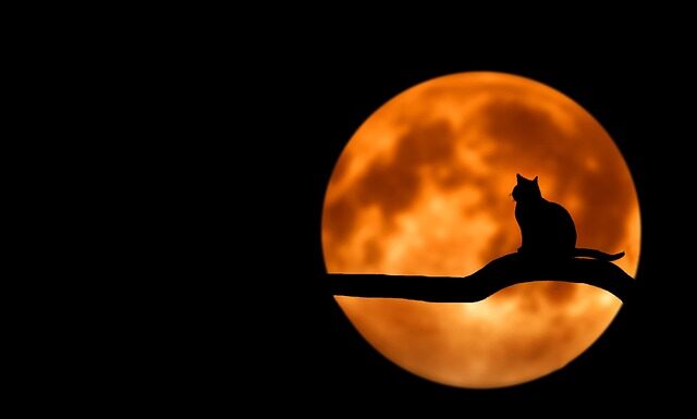 Jak zapanować nad domowym budżetem? Jak zapanować nad domowym budżetem?