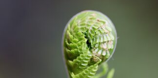 Jak się rozwijać w życiu?