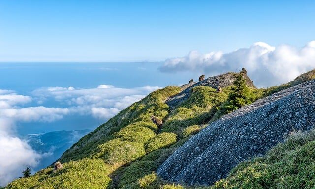 Jaka jest różnica między celem a misja?