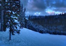 Ile lat jest ważny licencjat?