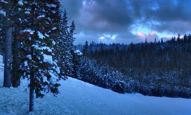 Ile lat jest ważny licencjat? Ile lat jest ważny licencjat?