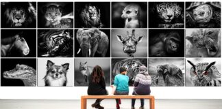 Ile jest pierwiastków?