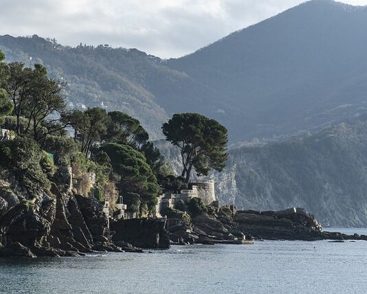 Ile kosztuje godzina pracy agencji reklamowej?