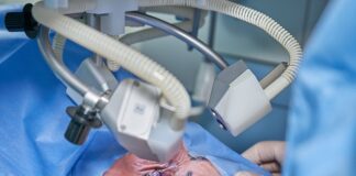 Jak wygląda procedura uzyskania certyfikatu? Jak wygląda procedura uzyskania certyfikatu?