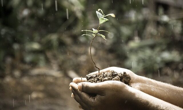 Na czym polega rozwój zawodowy? Na czym polega rozwój zawodowy?