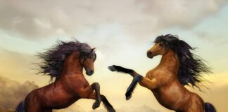 Kim jest cyfrowy nomada?