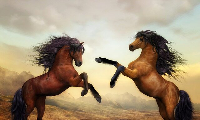 Kim jest cyfrowy nomada?