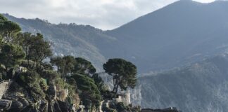 Ile kosztuje wydanie 1000 książek? Ile kosztuje wydanie 1000 książek?