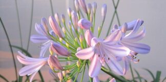 Kto odpowiada za pozyskanie certyfikatu CE?