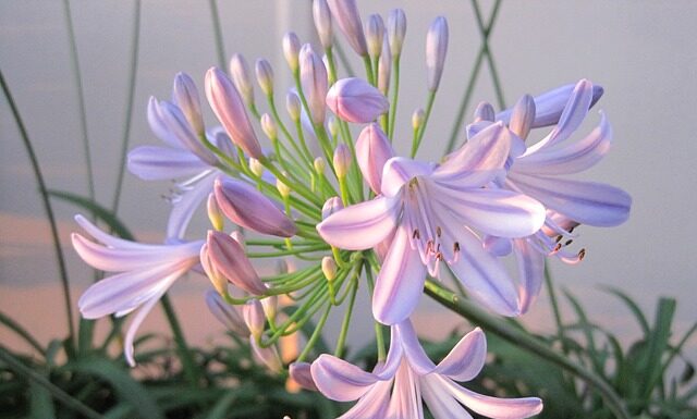 Kto odpowiada za pozyskanie certyfikatu CE? Kto odpowiada za pozyskanie certyfikatu CE?