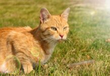 Jak ciekawie przedstawić siebie? Jak ciekawie przedstawić siebie?