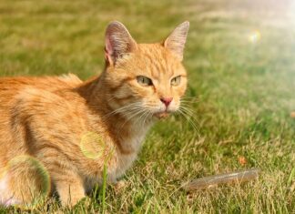 Jak ciekawie przedstawić siebie? Jak ciekawie przedstawić siebie?