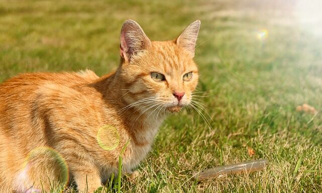 Jak ciekawie przedstawić siebie? Jak ciekawie przedstawić siebie?