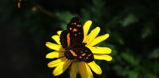 Kto tworzy 3 sektor? Kto tworzy 3 sektor?