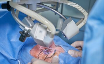 Na czym polega procedura budżetowa?