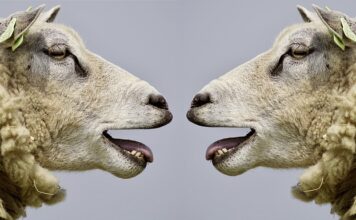 Jak poprawić komunikację w zespole?