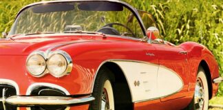 Czy C1 zwalnia z matury?