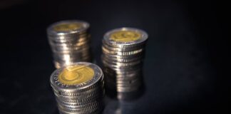 Ile zł za 1000 zzs?