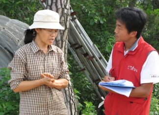 Jak wygląda proces certyfikacji?