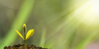 Co daje rozwój zawodowy? Co daje rozwój zawodowy?