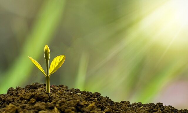 Co daje rozwój zawodowy?