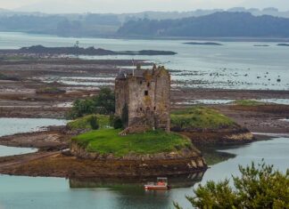 Czy warto aplikować bez doświadczenia?