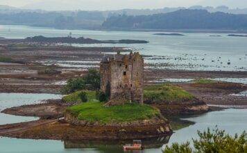 Czy warto aplikować bez doświadczenia?
