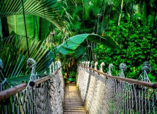 Jak wpisać kurs online do CV?