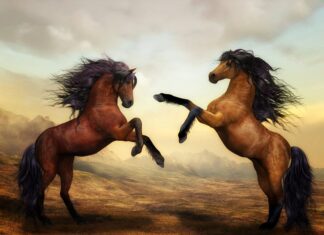 Co to jest cyfrowy ślad?